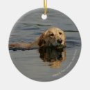 Sök efter lägenhet julgransprydnader Retriever