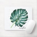 Sök efter houseplants Monstera