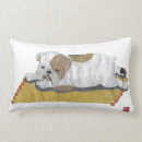 Sök efter engelskt kuddar För henne