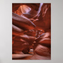 Sök efter reflekterat posters Natur