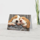 Sök efter beagle fotografi Äta