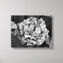 Sök efter vanlig hortensia canvastryck Svart