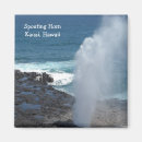 Sök efter horn magneter Hav