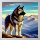 Sök efter norske posters Norsk elkhound