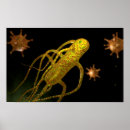 Sök efter begreppsmässigt posters Microbiology
