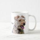 Sök efter welsh terrier hem presenter Hund