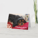 Sök efter kung kort Människor (allmänt)