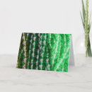 Sök efter pryder smycken Halsband