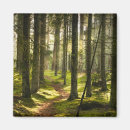 Sök efter småland Skog