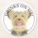 Sök efter hund för yorkshire terrier För henne
