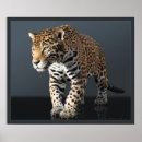 Sök efter jaguar posters Djungel