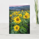 Sök efter oregon kort Fotografi