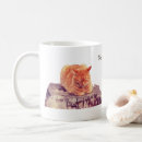 Sök efter orange tabby katt Djur