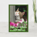Sök efter humor birthday fotografi Födelsedag