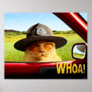 Sök efter funny animals posters Cute