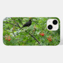 Sök efter djur blackberrybold fotografi Fåglar