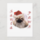 Sök efter pekingese kort Hälsning