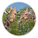 Sök efter giraff knoppar handtag Människor (allmänt)