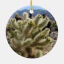 Sök efter nationalpark för joshua Cholla