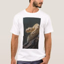 Sök efter kvalitets fotografi Landskap
