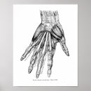 Sök efter muskler posters Vintage