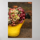 Sök efter tork fotografi Blomma