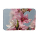 Sök efter sakura fotografi Vår