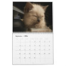 Sök efter kattkalender Söt