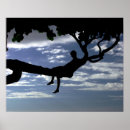 Sök efter silhueta posters Blå