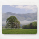 Sök efter cad musmattor Great smoky mountains nationalpark