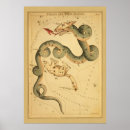Sök efter draco posters Konstellation