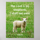 Sök efter lambs posters För alla