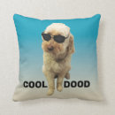 Sök efter goldendoodle Söt