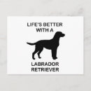 Sök efter retriever vykort Labrador