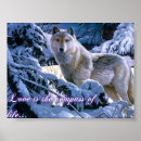 Sök efter husky posters Snö