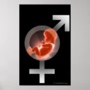 Sök efter reproduktioner posters Liv