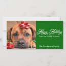 Sök efter sparkles fotokort Helgdag