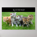 Sök efter gul katt posters För barn