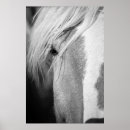 Sök efter kontakt posters Svart och vitt