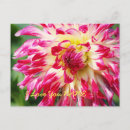 Sök efter kärlek vykort Citat