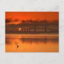 Sök efter florida usa fotografi Konsumtionsvara