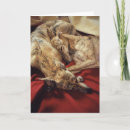 Sök efter vinthund kort Helgdag