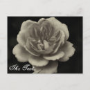 Sök efter kondoleanskort Tack