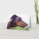 Sök efter vinnare fotografi Hund