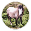 Sök efter häst och knoppar handtag Människor (allmänt)