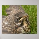 Sök efter rånar fotografi Baby