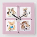 Sök efter hund klockor För alla