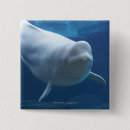 Sök efter dörr knappar Tittar inom stängda dörrar