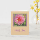 Sök efter rosa dahlia Fotografi