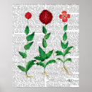 Sök efter italiensk konst Nejlika